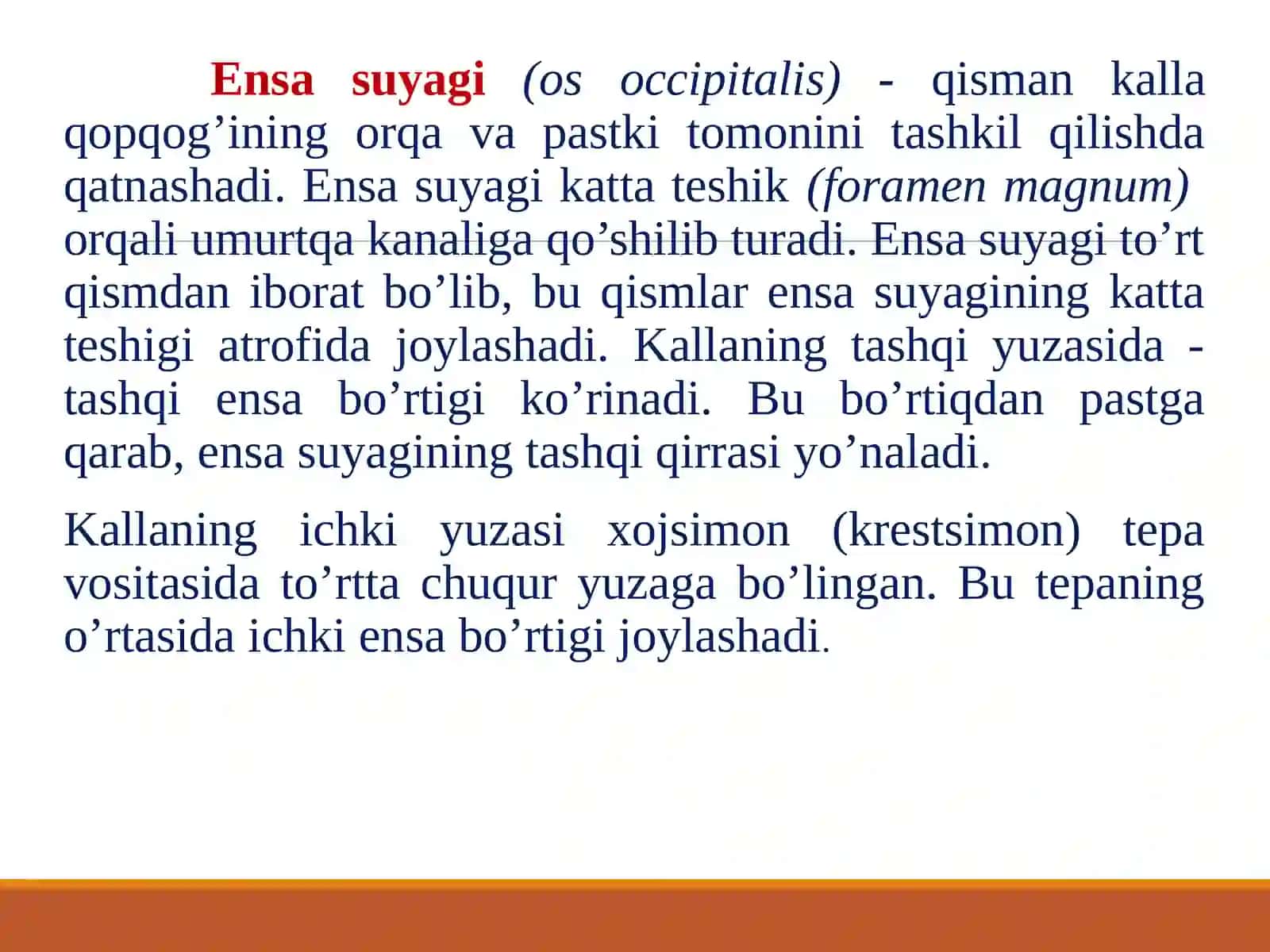 Osteologiya.Boshskeleti.Kallaning miya qismi suyaklari 4