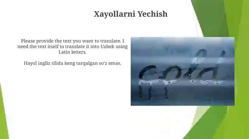 Hayol 4