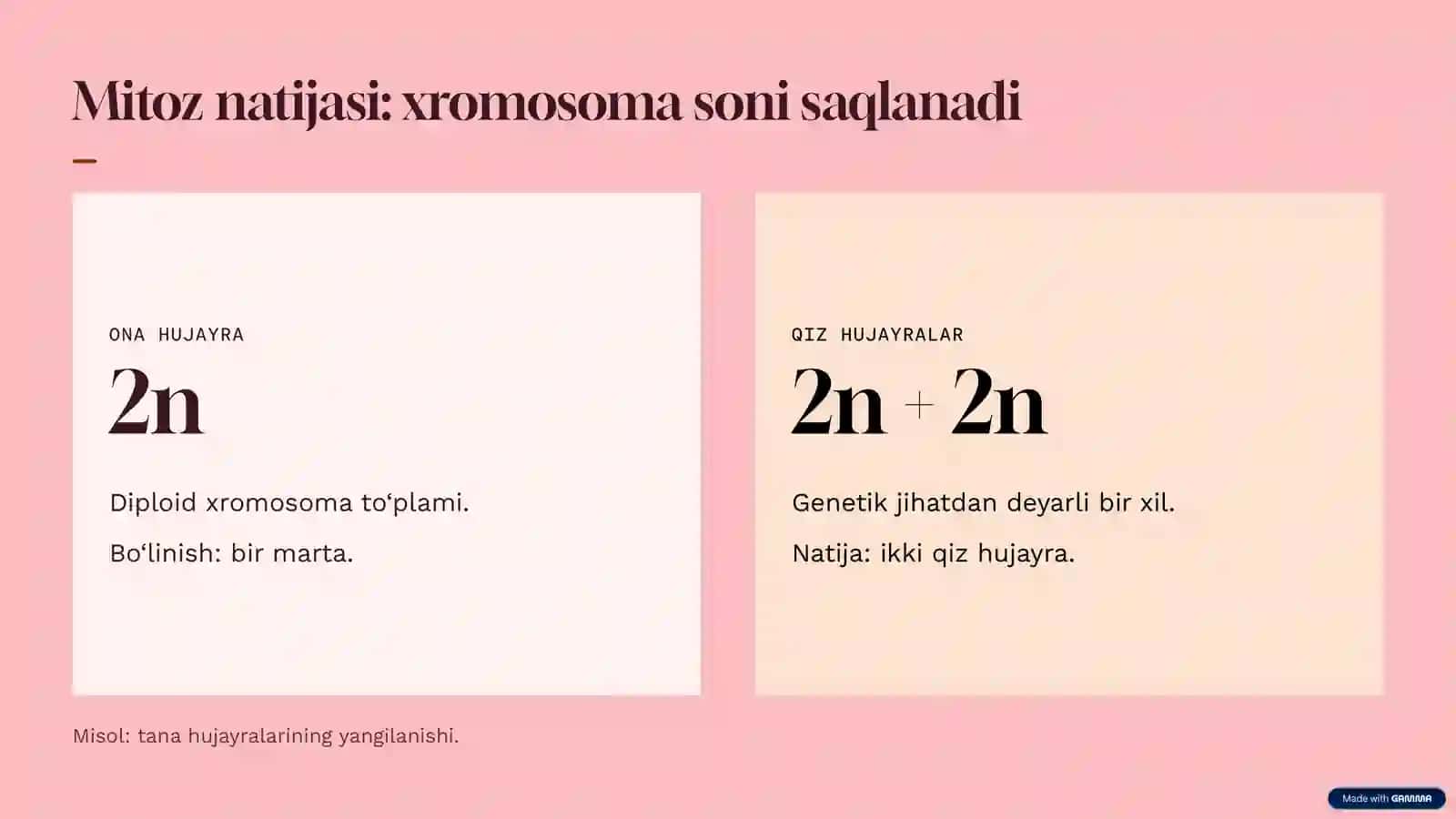 [Hujayralarning mitoz va meyoz bo‘linishi] 4
