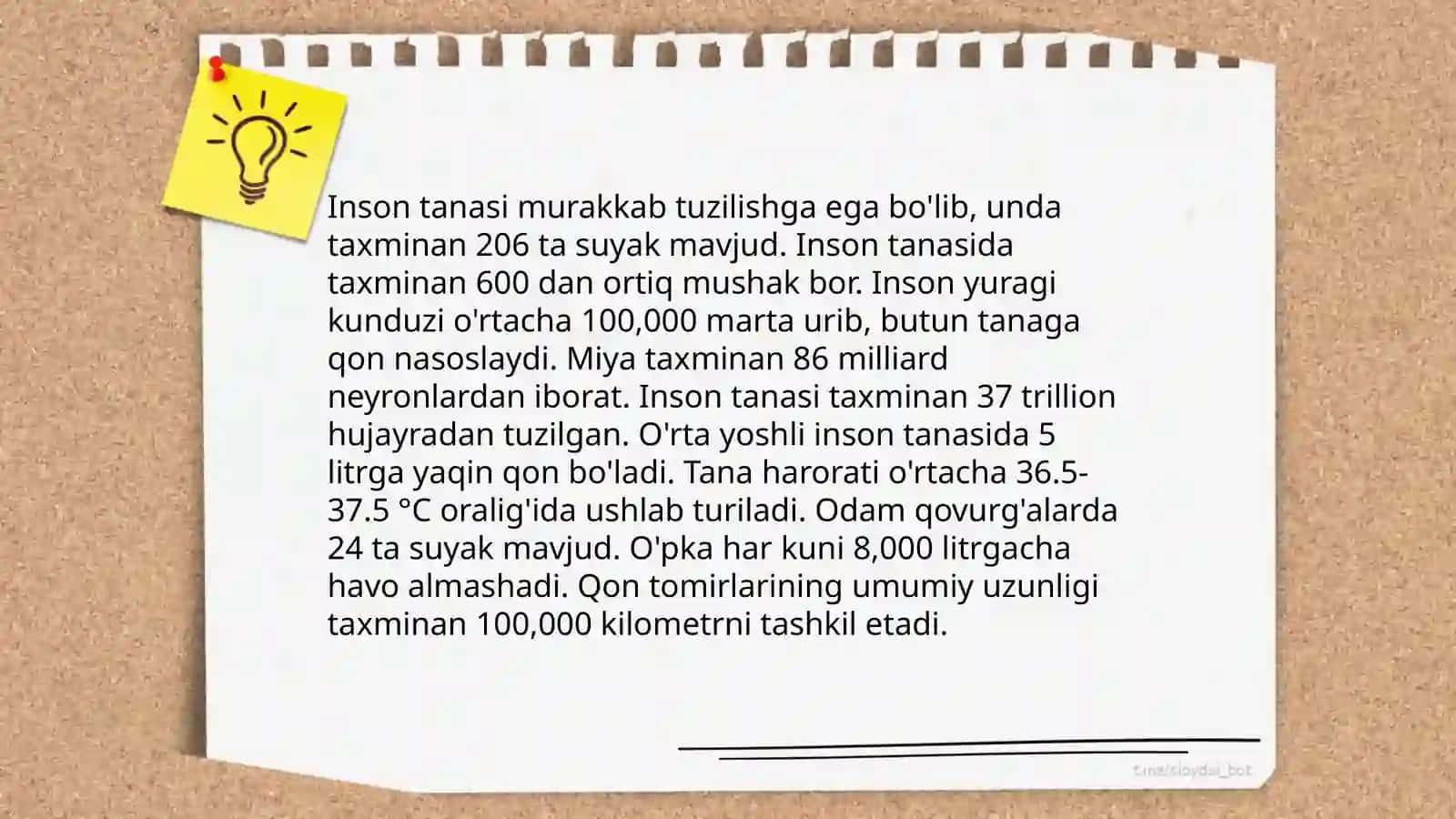 Anatomiya va Gistalogiya atamashunoslik talimoti 4