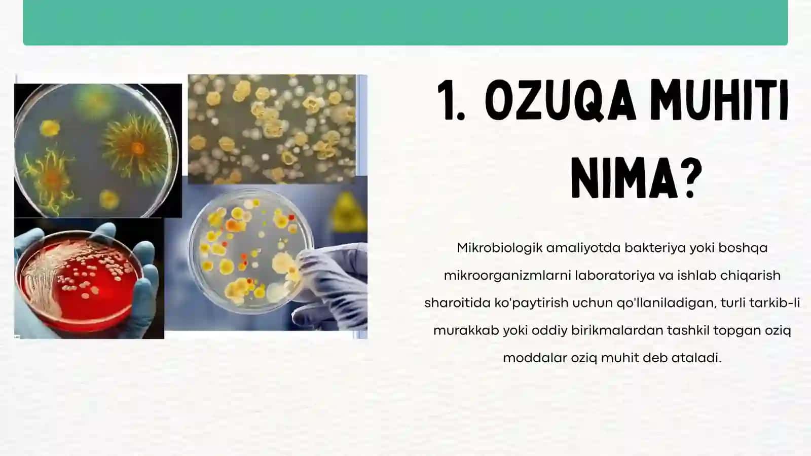 mikroorganizmlar fiziologiyasi 4