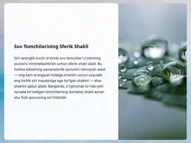 Sirt Taranglik 4