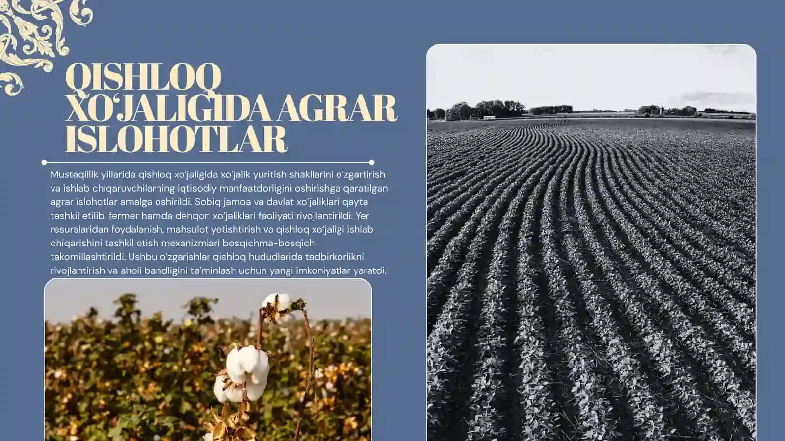 MUSTAQILLIK YILLARIDA QISHLOQ XO‘JALIGI VA SANOAT SOHASIDAGI O‘ZGARISHLAR 4