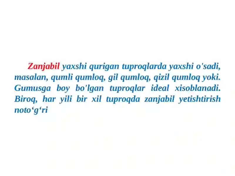 Занжабил 4