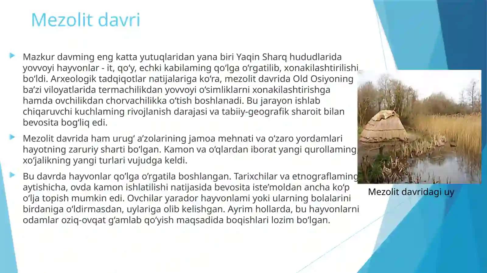 O‘zbekiston tarixining eng qadimgi davri 4