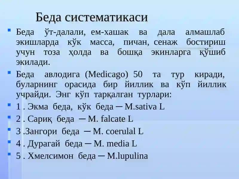 Дуккакли ем-хашак экинлар морфологияси. Беда умумий морфологик белгилари 4