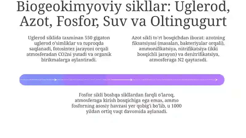 Ekotizimlardamoddalaraylanishijarayoninimodellashtirish 4