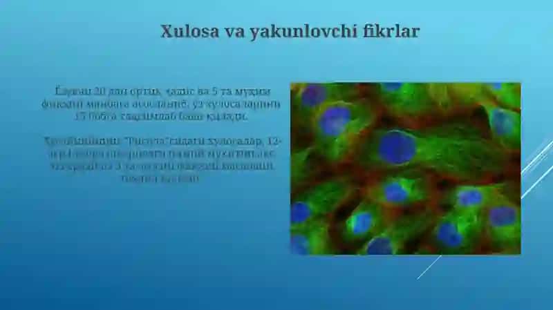 Husayniyning" Risola"asarinitahlilqilish 4