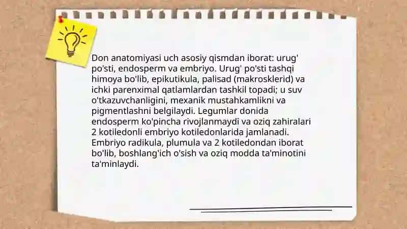 Yasmiq va burchoq don sifati, morfologiyasi, va yetishtirish texnologiyasi 4
