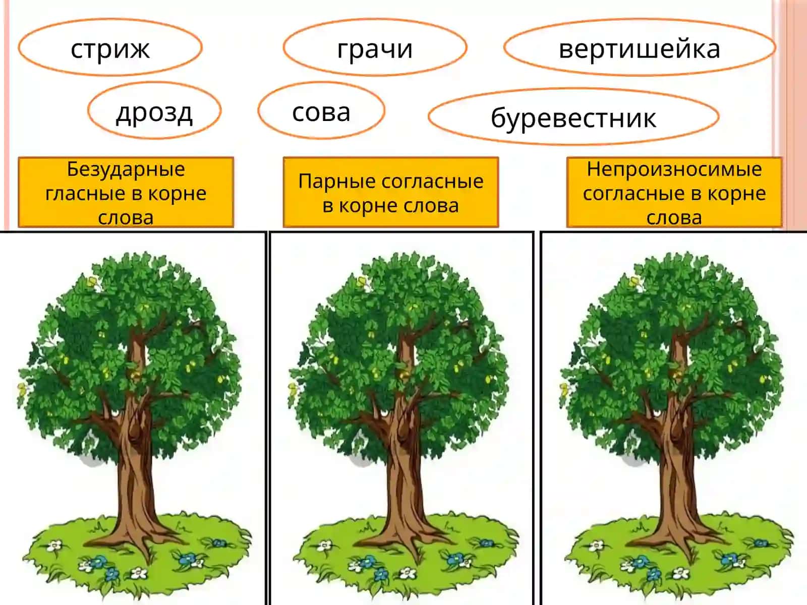Знакомство с понятием«Сложные слова» 4