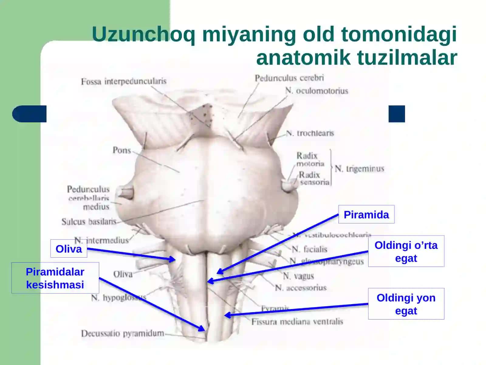 Uzunchoqmiya 4