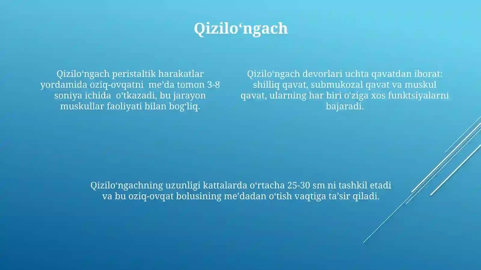 Ovqat hazm qilish aʼzolari 4