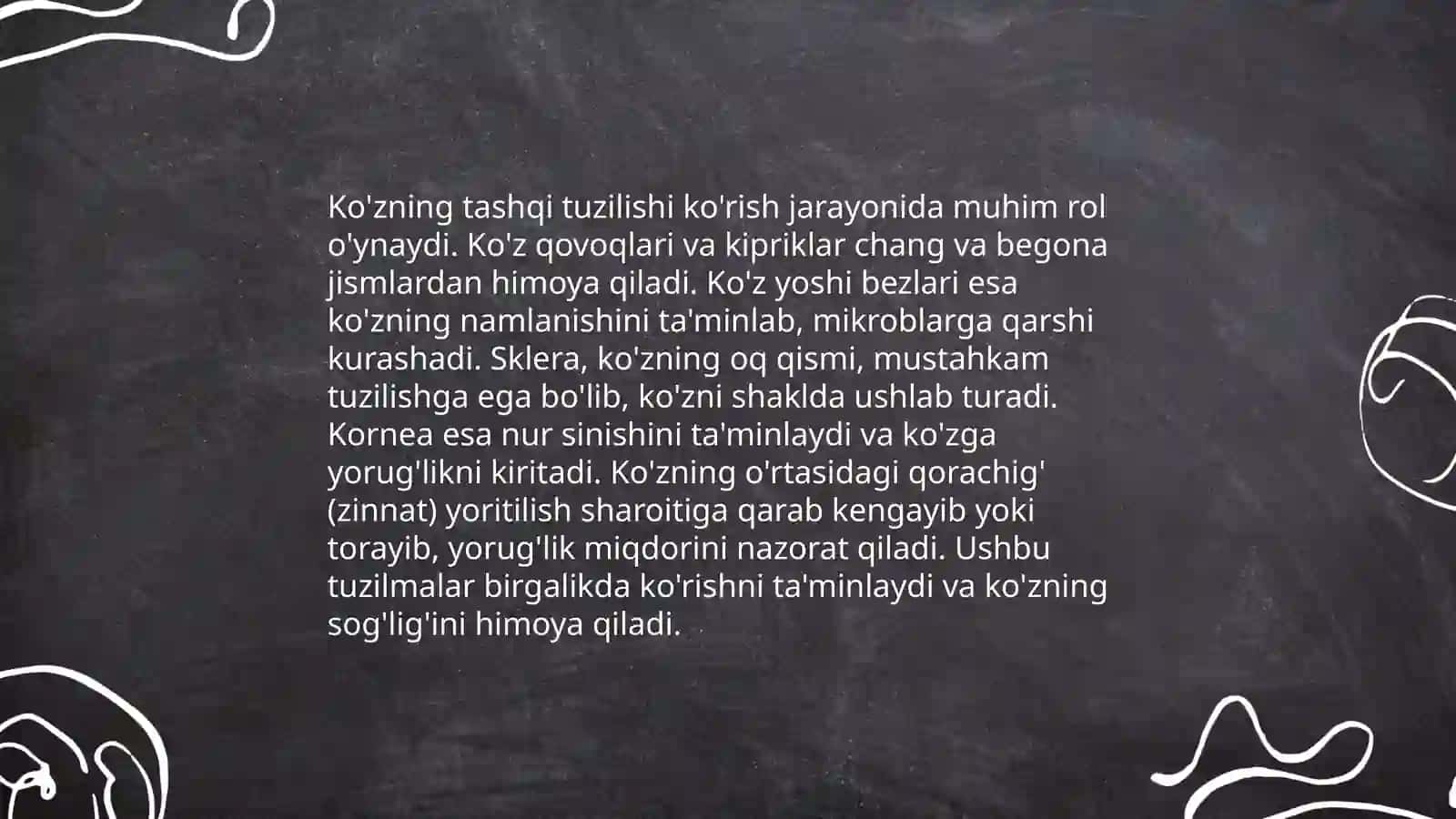 Ta'm bilish va hid bilish azolarining funksional anatomiyasi 4