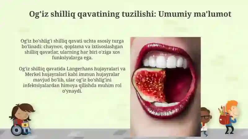 Og'iz bõshlig'i shilliq qavatini tuzulishining yoshga doir hususiyatlari 4