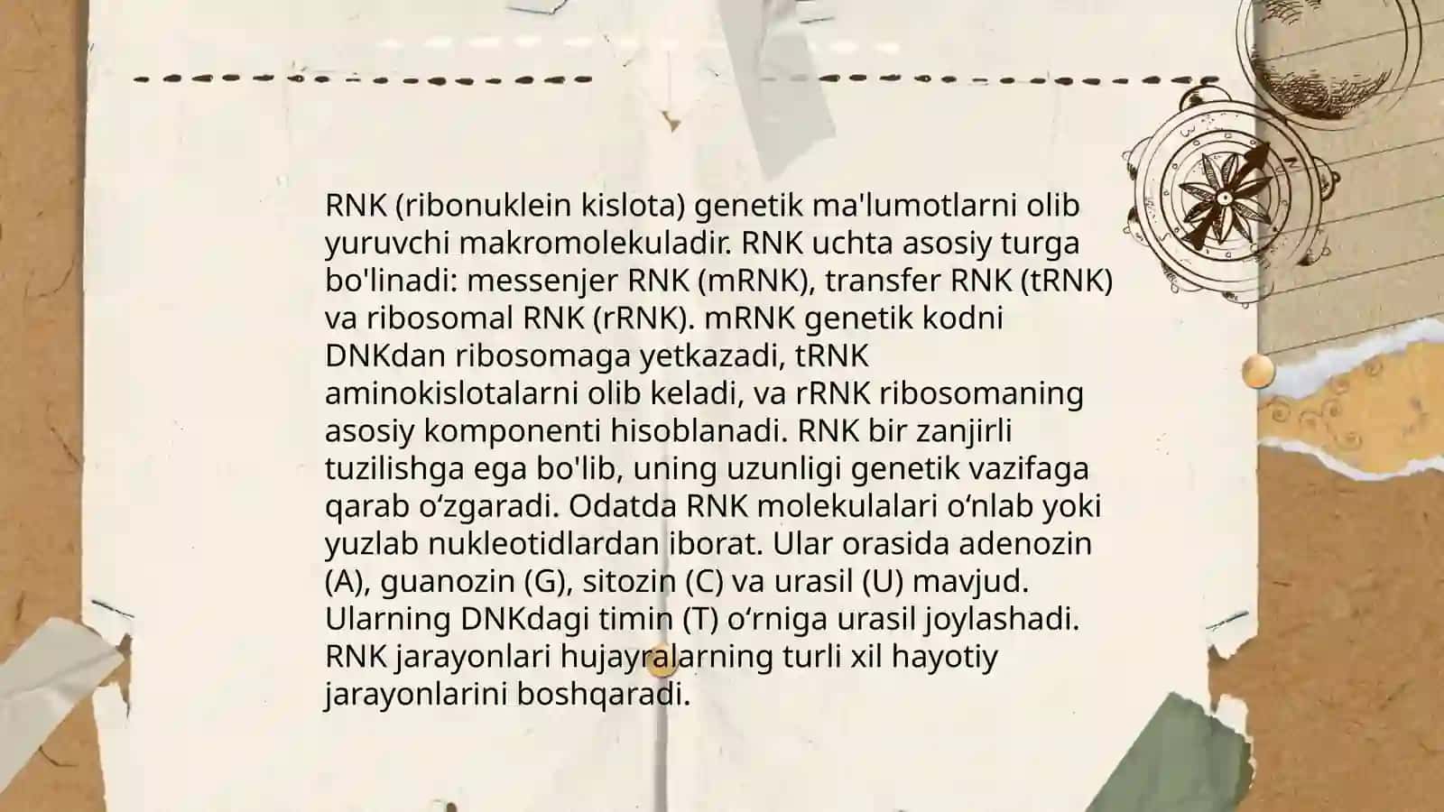 RNKning makromolekulyar strukturasi 4