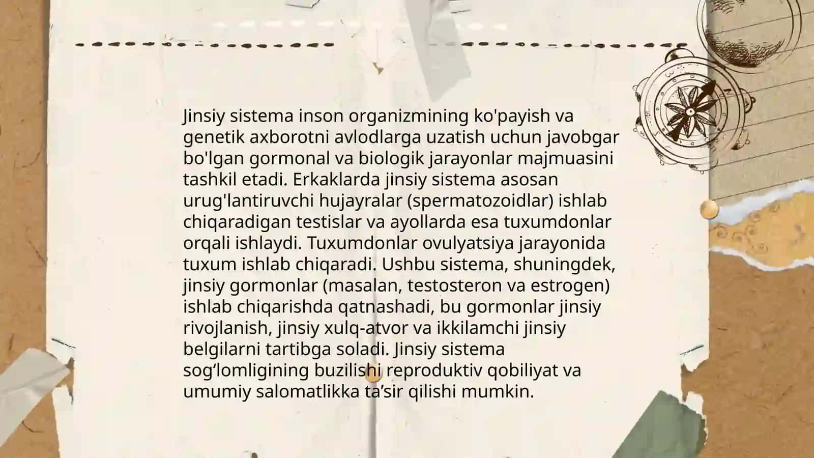 Jinsiy sisteman umumiy tavsifi taraqqiyotining indefferent erkak va ayol turidagi ixtisoslashgan bosqichi 4