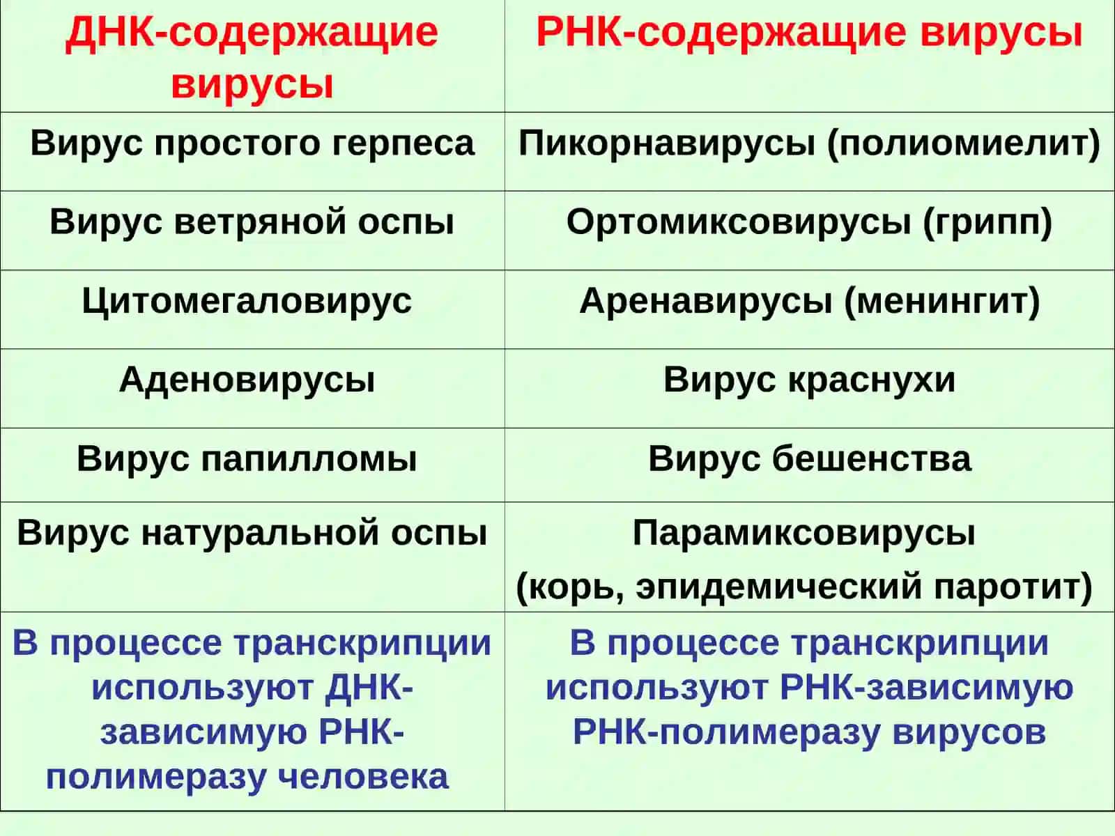 Противовирусные средства 4