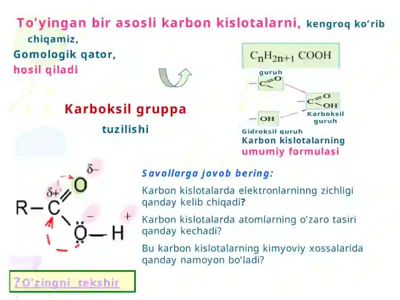 organik Karbon kislotalar 4