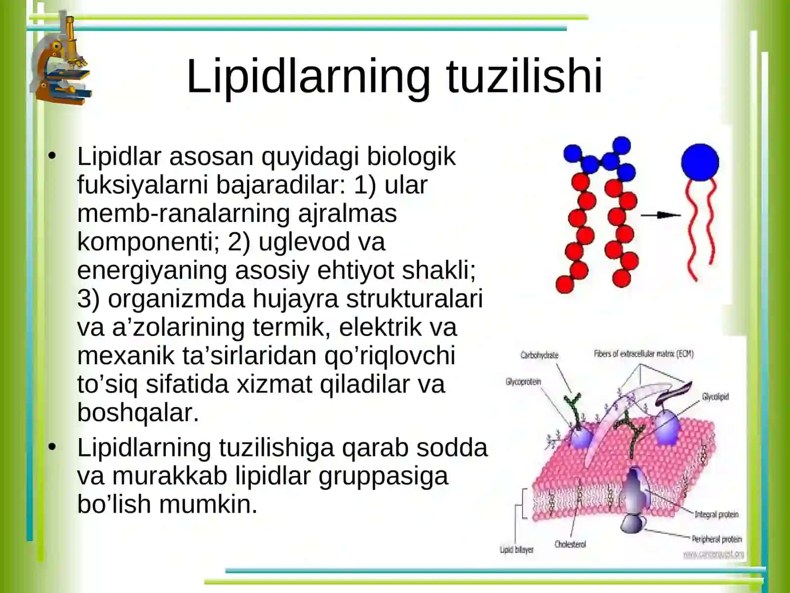 Lipidlar 4