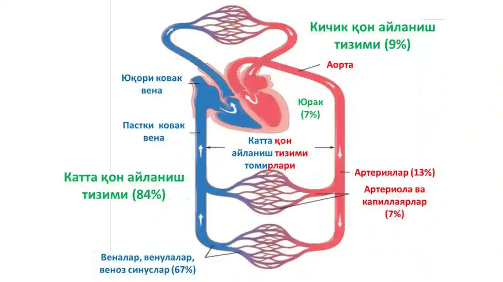 Ўғиряк 4