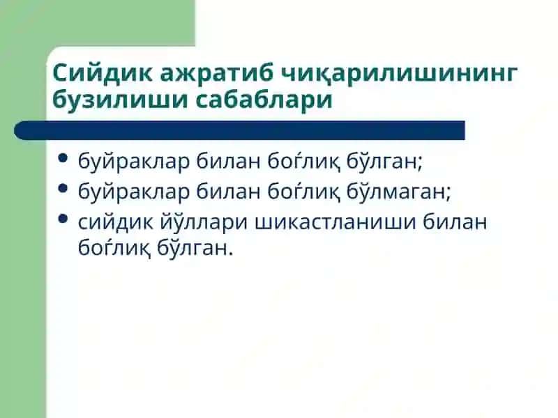 Буйраклар патофизиологияси 4