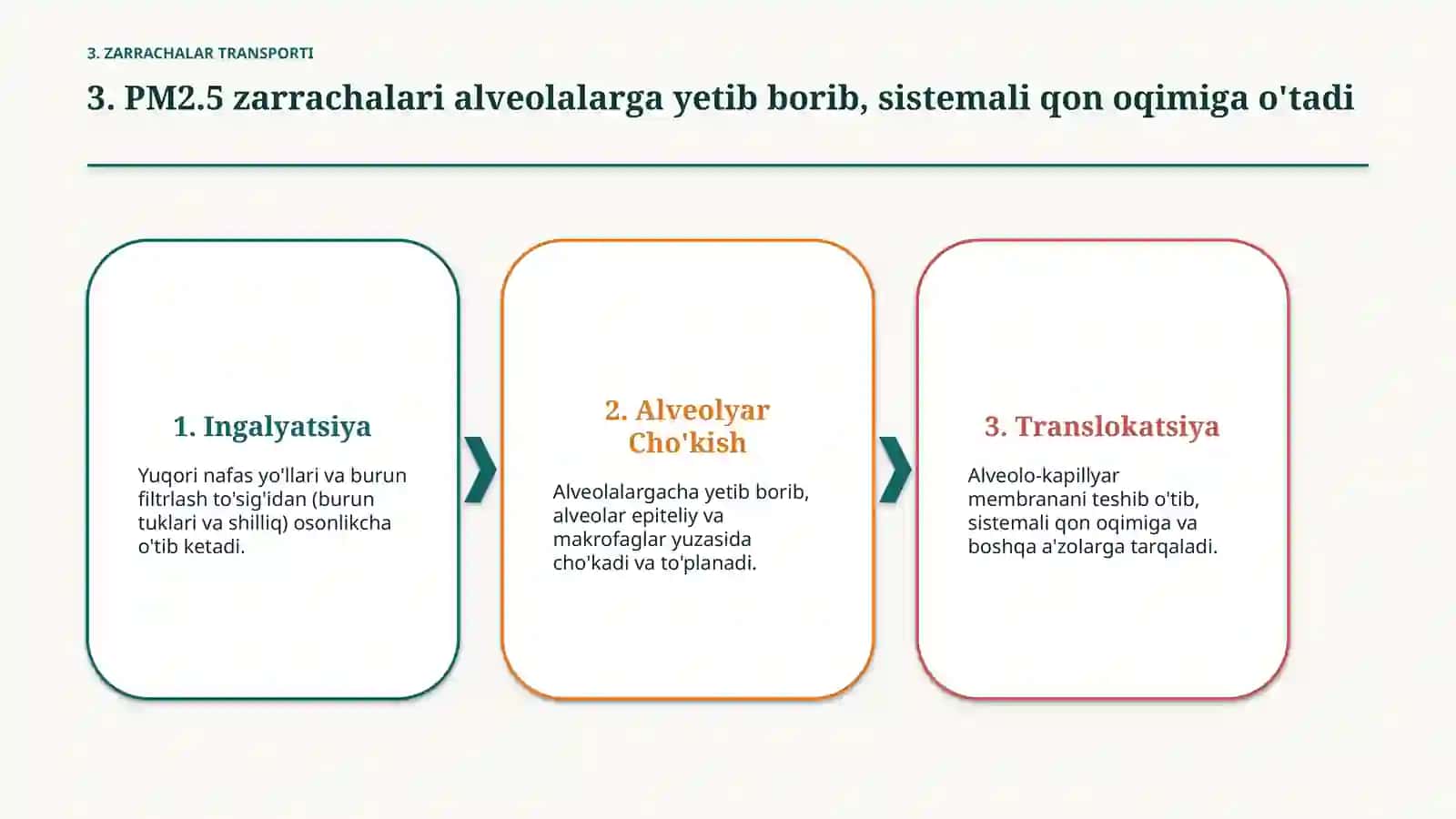 Havo ifloslanishi va o‘pka patologiyasi — 15 slayd 4
