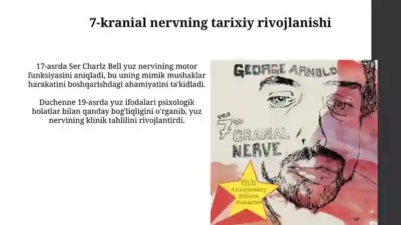Yuz nervi 4