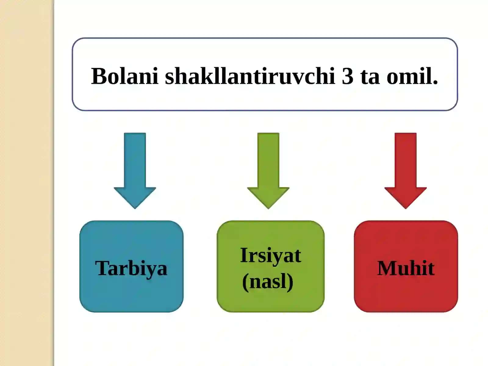 Bolalarning jismoniy va aqliy shakllanishiga ijtimoiy muhitning ta’siri. 4