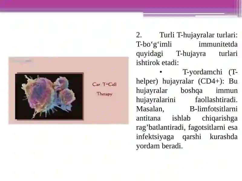 T-boʻgʻimli immunitet 4