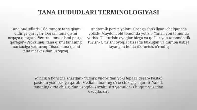 Anatomik Iboralar Tarjimasi 4