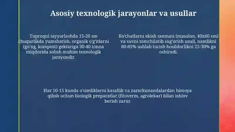 Himoyalangan joylarda sabzavot ekinlarini yetishtirish texnologiyasi 4