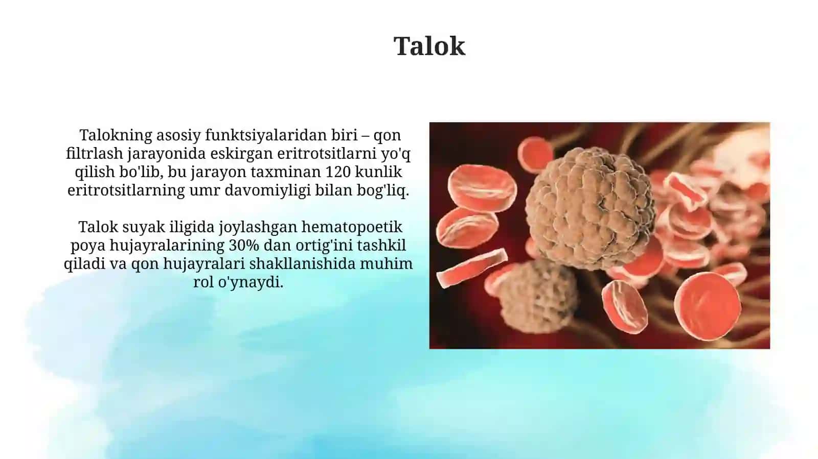 Suyak ko'migi va immun tizimi organlari 4