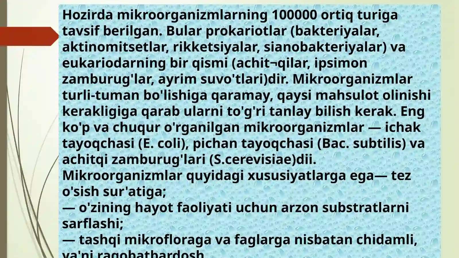 Mikroorganizmlar 4