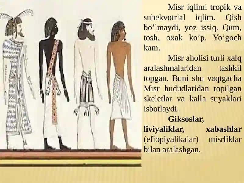 QADIMGIMISR 4