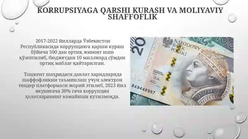 Davlat Moliya Nazorati 4