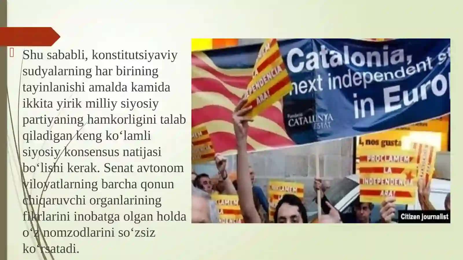 Ispaniya Konstitutsiyaviy sudi 4