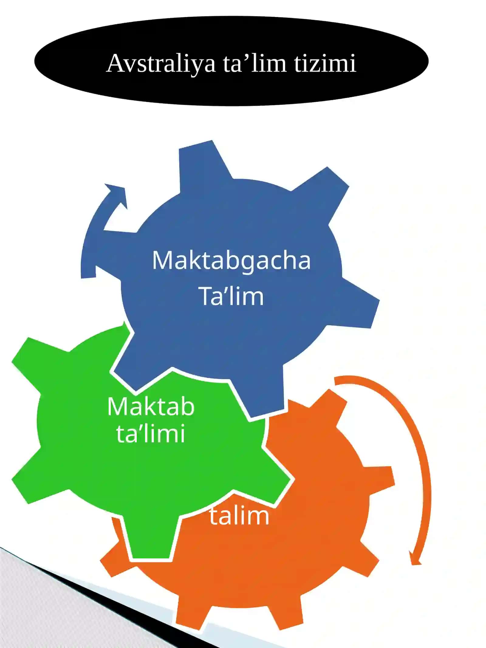 Xorijiy mamlakatlarida maktabgacha talim tizimini organish va tahlil qilish 4