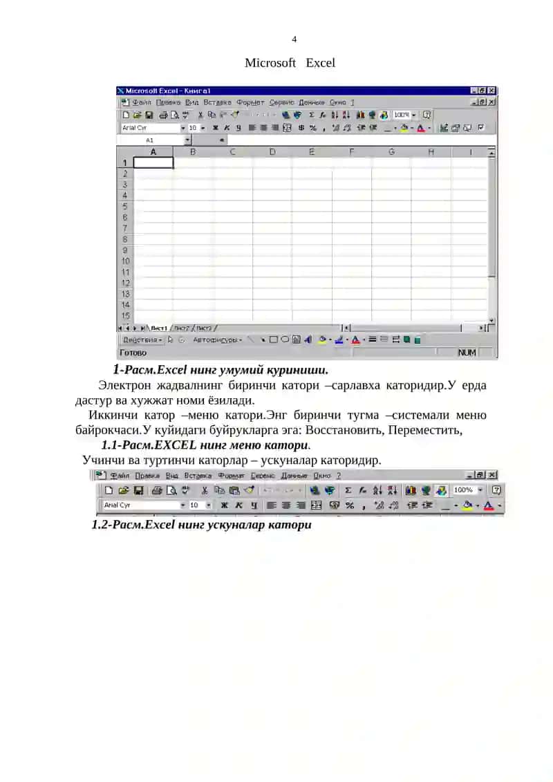 Microsoft Excel 4