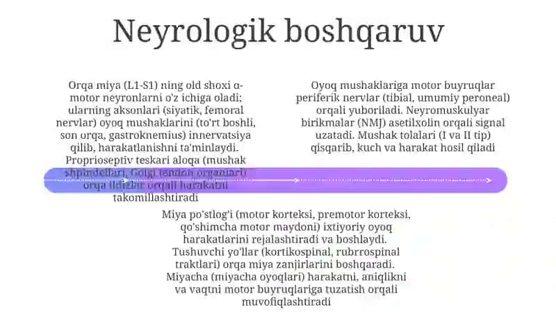 Oyoq harakatining biomekanikasi 4