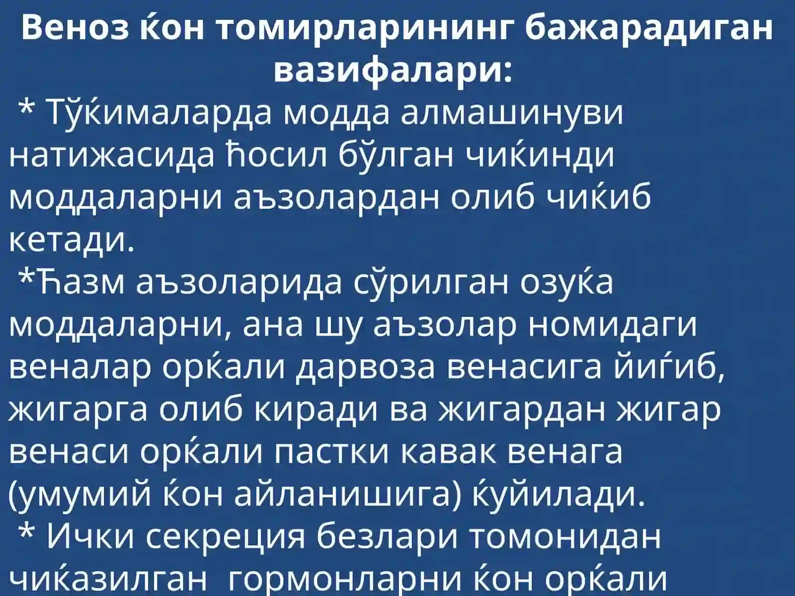 Веноз тизимининг функционал анатомияси. Юқори Каваквена. Дарвоза Венаси 4