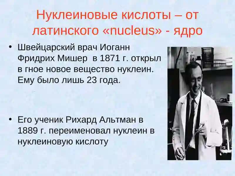 Нуклеиновые кислоты 4