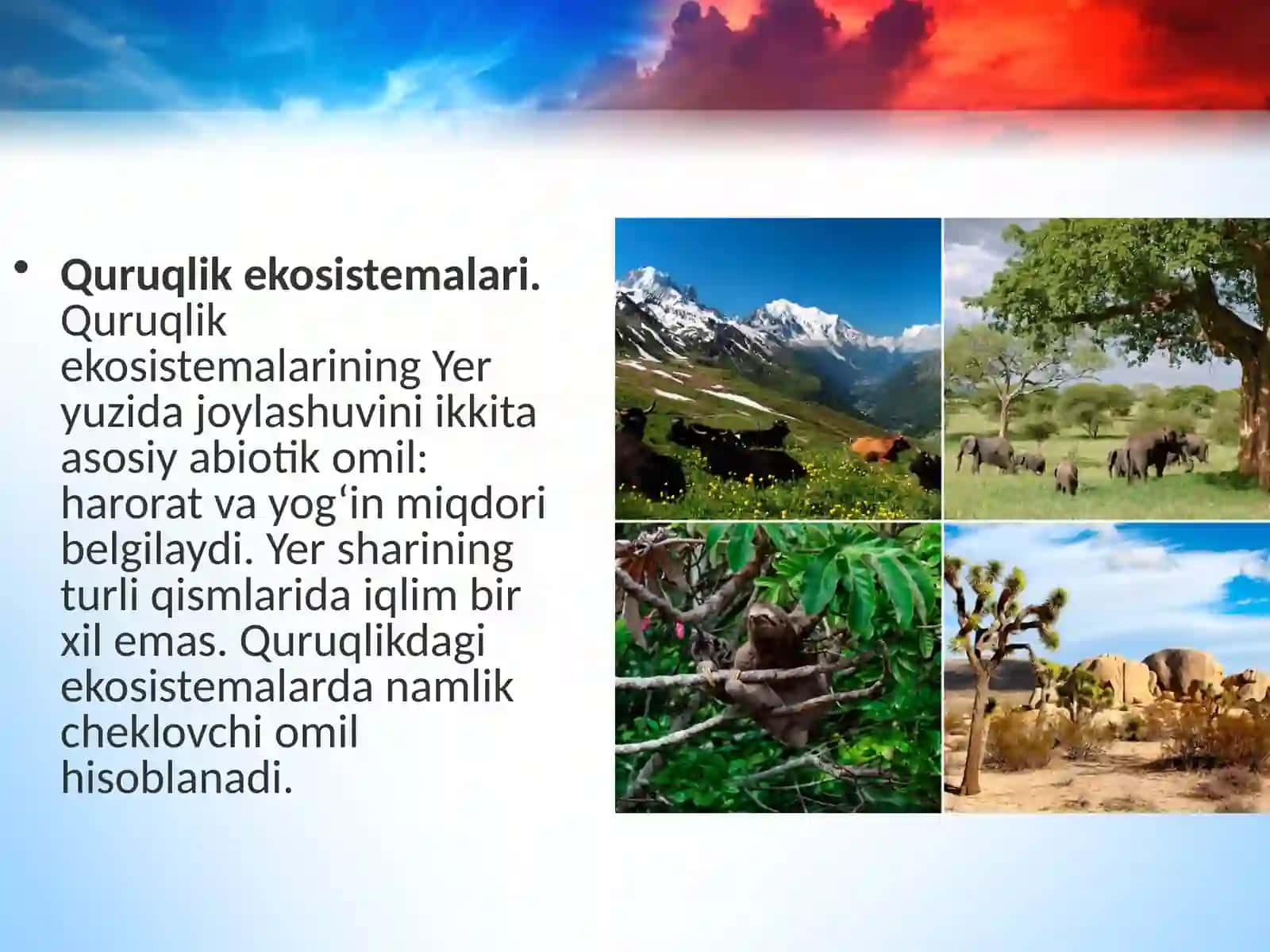 Ekosistemalar 4