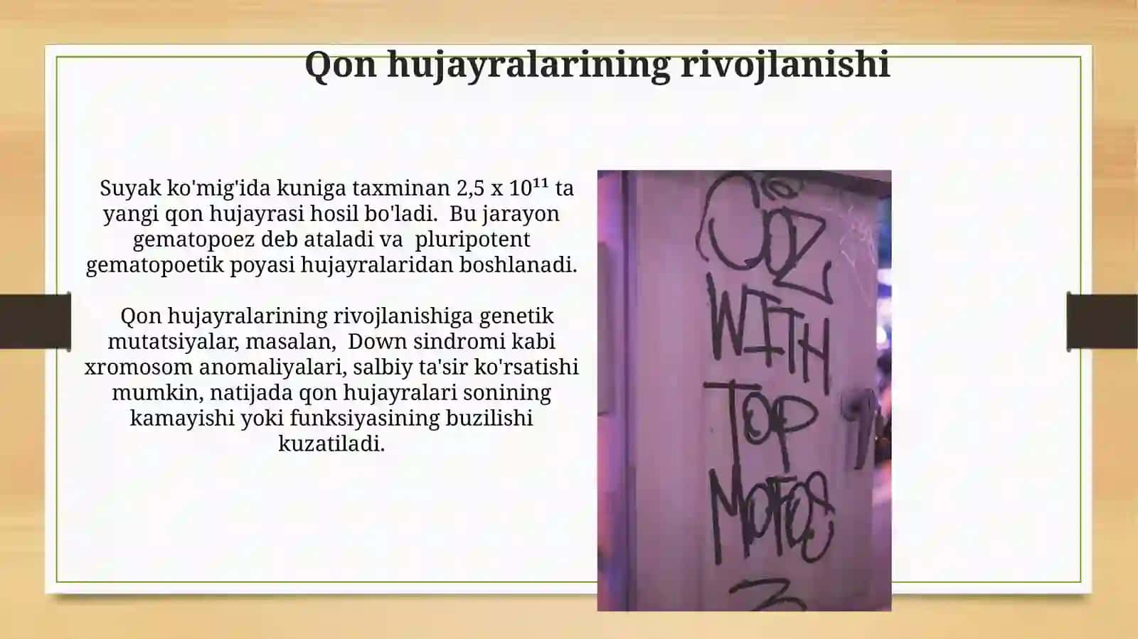 Gomotsitopoez 4