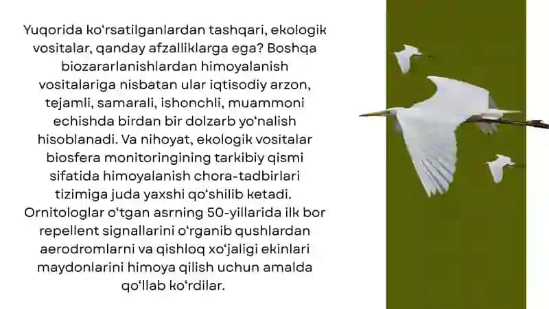 Qushlarning Zararidan Himoyalash Usullari 4