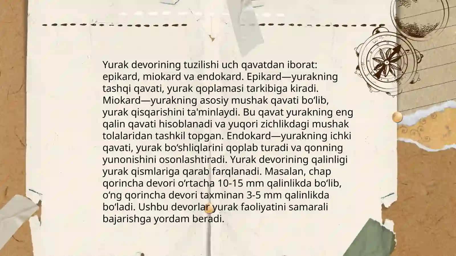 Yurak fiziologiyasi 4