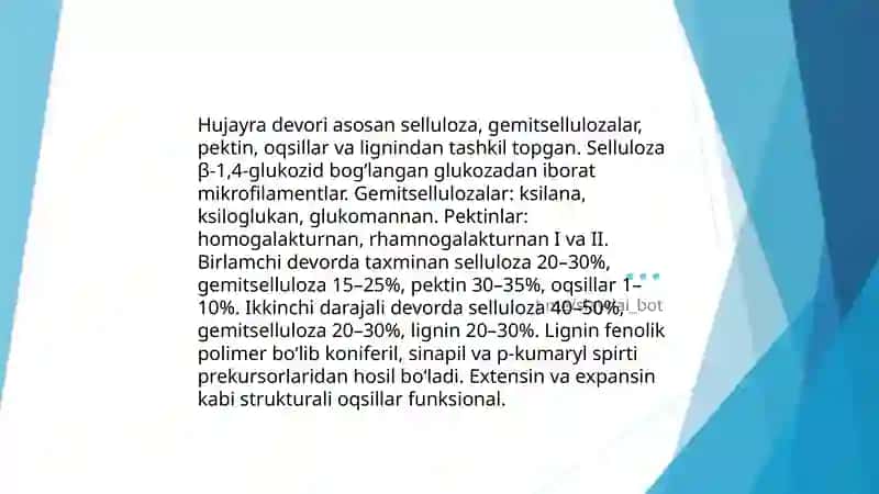 O’rta Osiyo allomalarining tabiiy fanlarni shakillanishiga qo’shgan hissalari 4