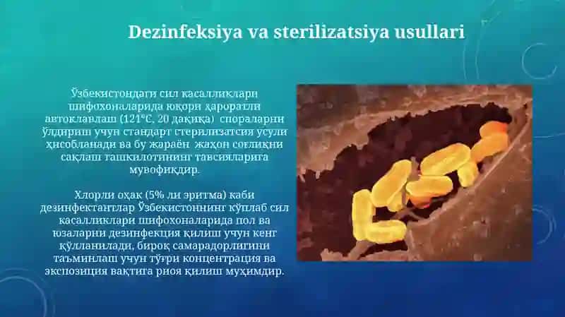 Tuberkulyozga qarshi muassasalarda infeksion nazorat olib borish 4