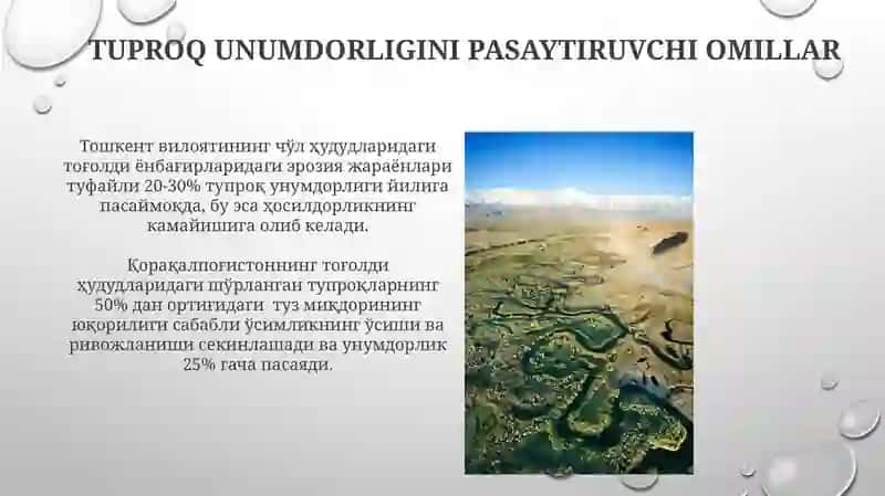 Togʻli va togʻoldi mintaqasi tuproqlari geografiyasi va uning muhofaza qilish 4