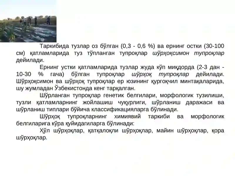 Шўрҳоқ ва шўрҳоқсимон тупроқлар 4
