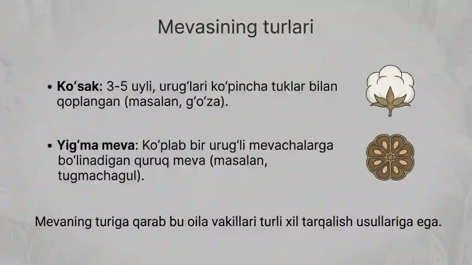 Gulxayridoshlar oilasi 4